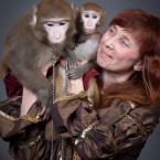 Дрессировка обезьян капуцинов || Дрессировка обезьян капуцинов