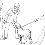 Обучение собаки команде «фу»