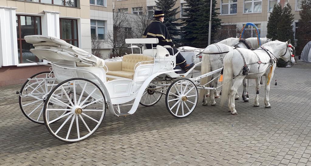 alt = "Кареты с лошадьми на праздник"