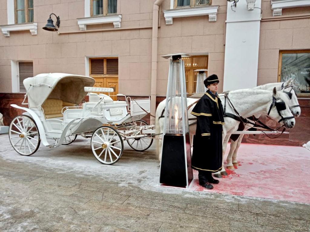 alt = "Кареты с лошадьми на праздник"
