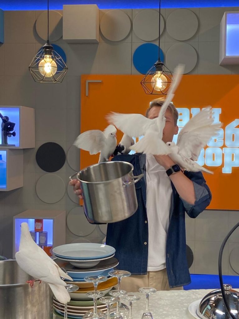 alt="Шоу голубей"