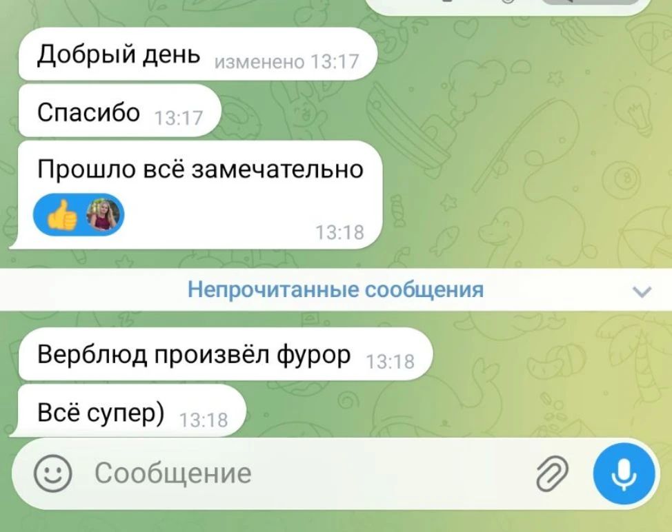 alt="верблюд на съёмку"