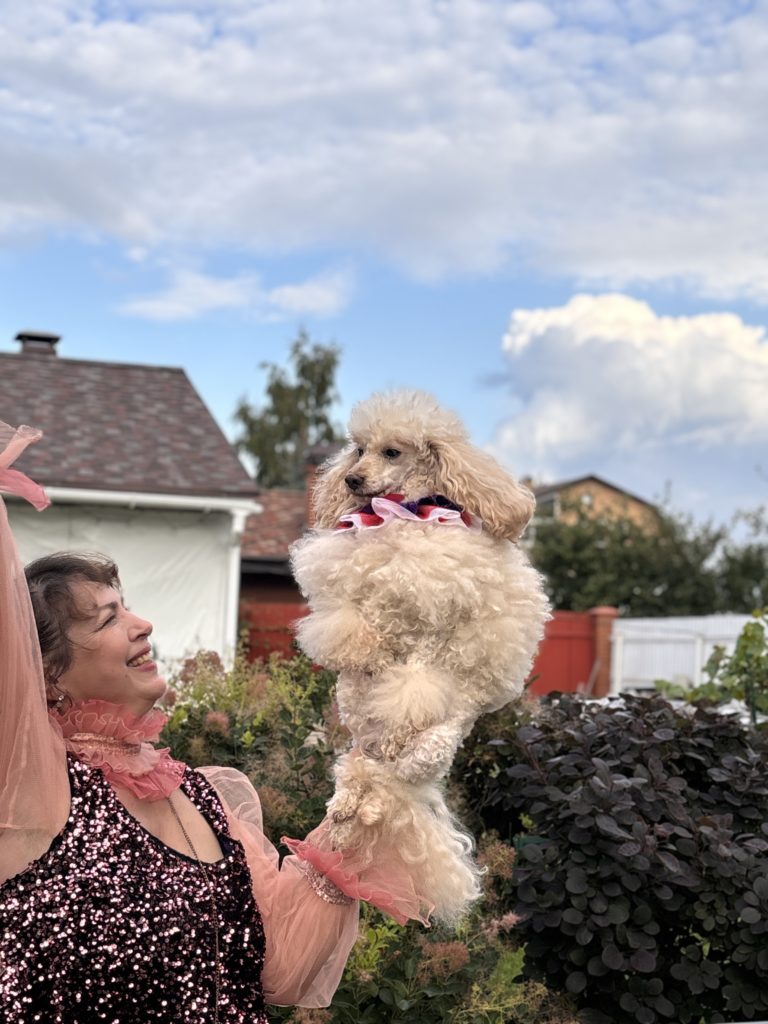 alt="шоу пуделей"